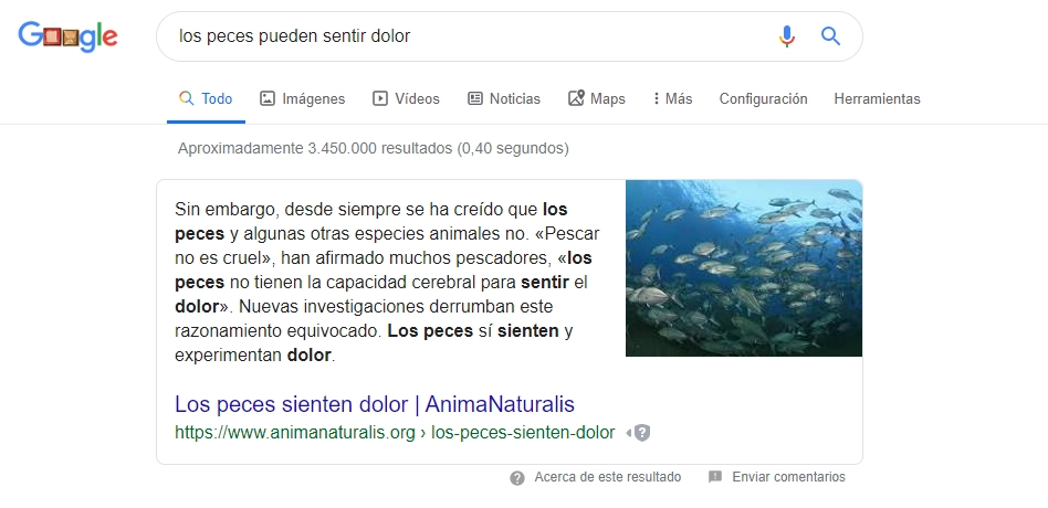 los-peces-pueden-sentir-dolor